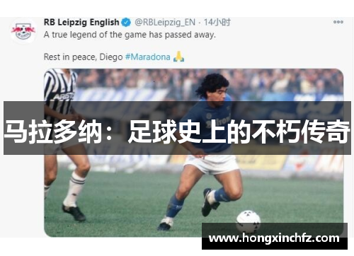 马拉多纳：足球史上的不朽传奇