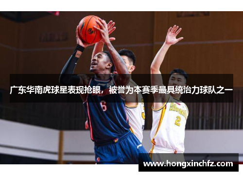 广东华南虎球星表现抢眼，被誉为本赛季最具统治力球队之一